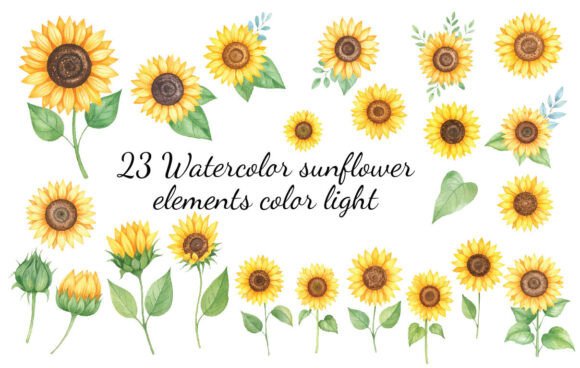 Download 23 Watercolor Sunflower Elements Color - Watercolor sunflower elements Collection