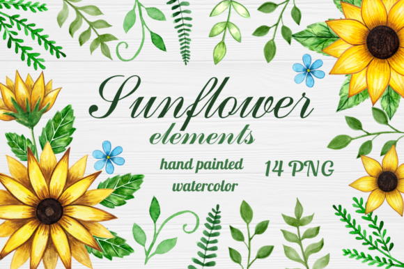 Download Watercolor Sunflower Elements Clipart - Watercolor sunflower elements Collection