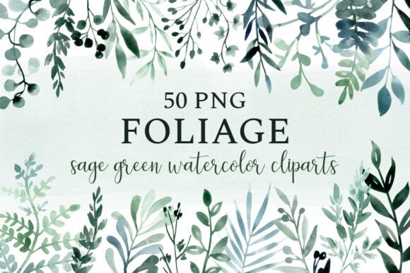 Download Leaves &amp; Foliage, Sage Greenery Clipart - Leaves Collection