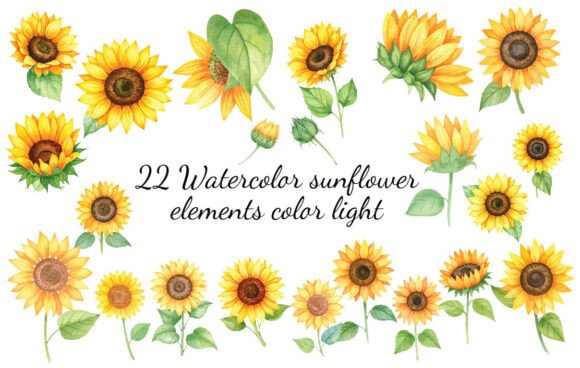 Download 22 Watercolor Sunflower Elements Color L - Watercolor sunflower elements Collection