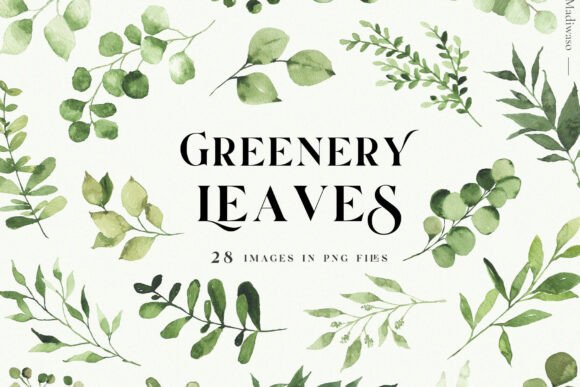 Download Green Leaves Watercolor Clipart Foliage - Leaves Collection
