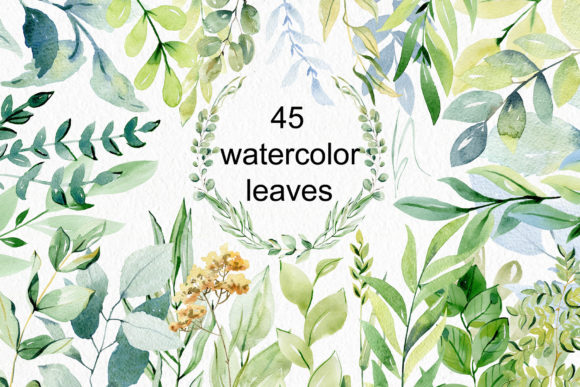 Download Watercolor Leaves Clipart. - Leaves Collection