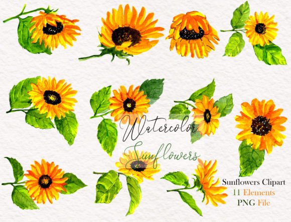 Download Watercolor Sunflower Elements Clipart - Watercolor sunflower elements Collection
