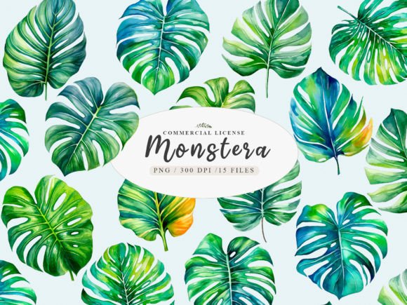 Download Greenery Monstera Leaves Clipart - Leaves Collection