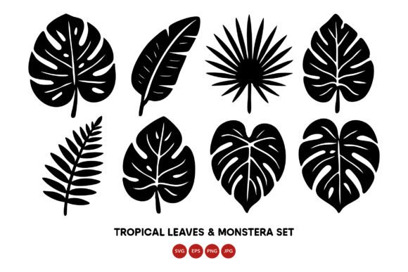 Download Tropical Leaves and Monstera Leaf Vecto - Leaves Collection